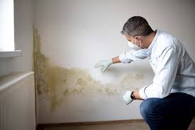 Biohazard Mold Removal in Orosi, CA